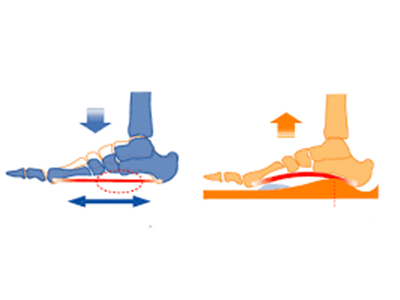 What Are the Influences of Childrens Flat Feet